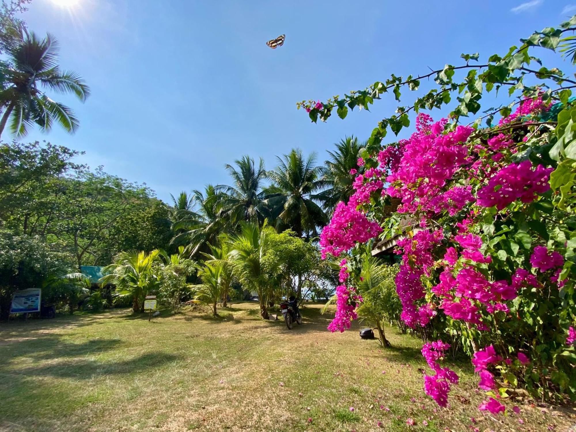 Ocamocam Beach Nature Resort New Busuanga Экстерьер фото