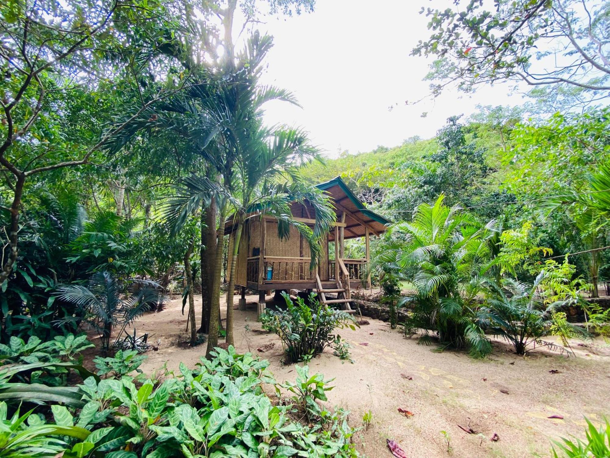 Ocamocam Beach Nature Resort New Busuanga Экстерьер фото